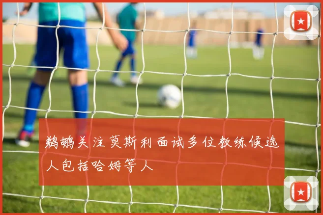 鹈鹕关注莫斯利面试多位教练候选人包括哈姆等人